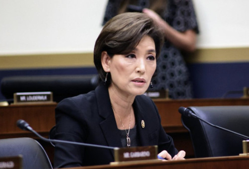 청문회에 출석한 김영 대표.               National Security & Foreign Affairs, 보도 자료